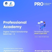 Professional Academy Digital Talent Scholarship Batch-2